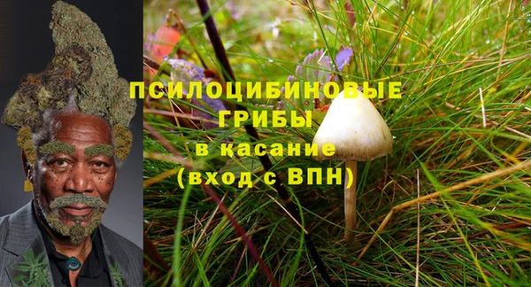 spice Арсеньев