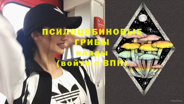 spice Арсеньев