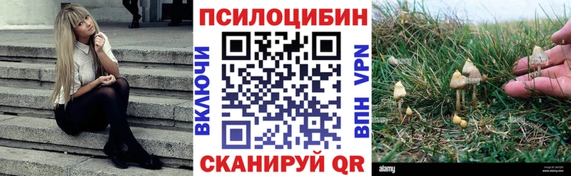 Псилоцибиновые грибы Psilocybine cubensis  наркошоп  MEGA зеркало  Артёмовский 